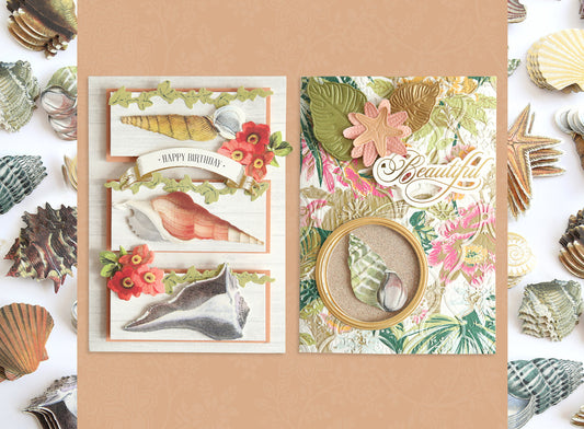 shells on cards and stickers