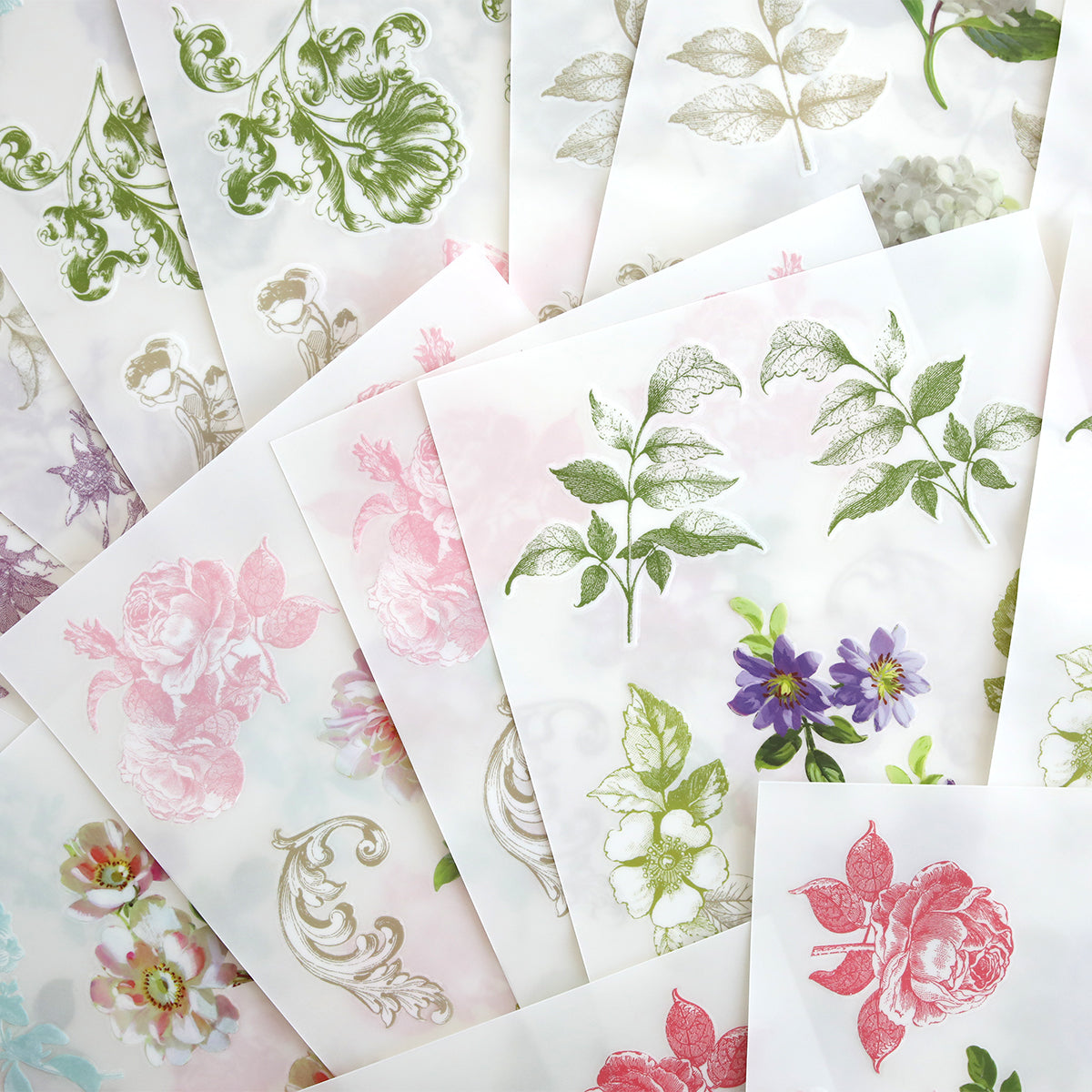 Antique Botanical Rub On Transfers feature vintage floral and botanical illustrations in pastel, muted tones—ideal for embellishing scrapbook pages or adding artistic touches to your projects.