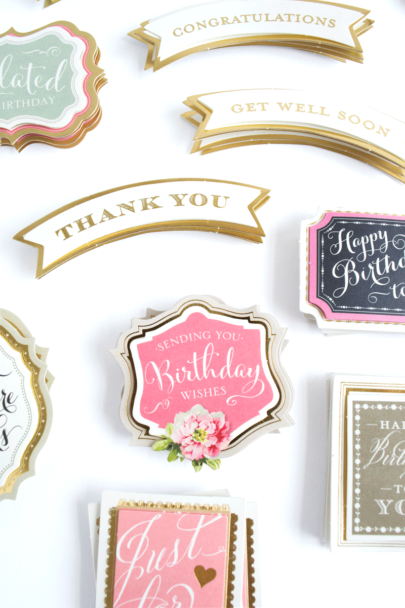 Favorite Sentiment Stickers Everyday offers decorative stickers with messages like "Congratulations," "Get Well Soon," "Thank You," and "Birthday Wishes," all on elegant ivory cardstock—ideal for storing in your folio.