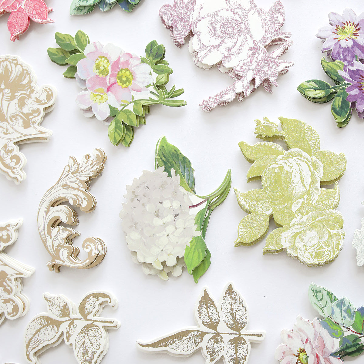 Antique Botanical Embellishments: assorted floral paper cutouts, decorative leaves, stickers, and 3D accents from the Francesca collection arranged on a white background.