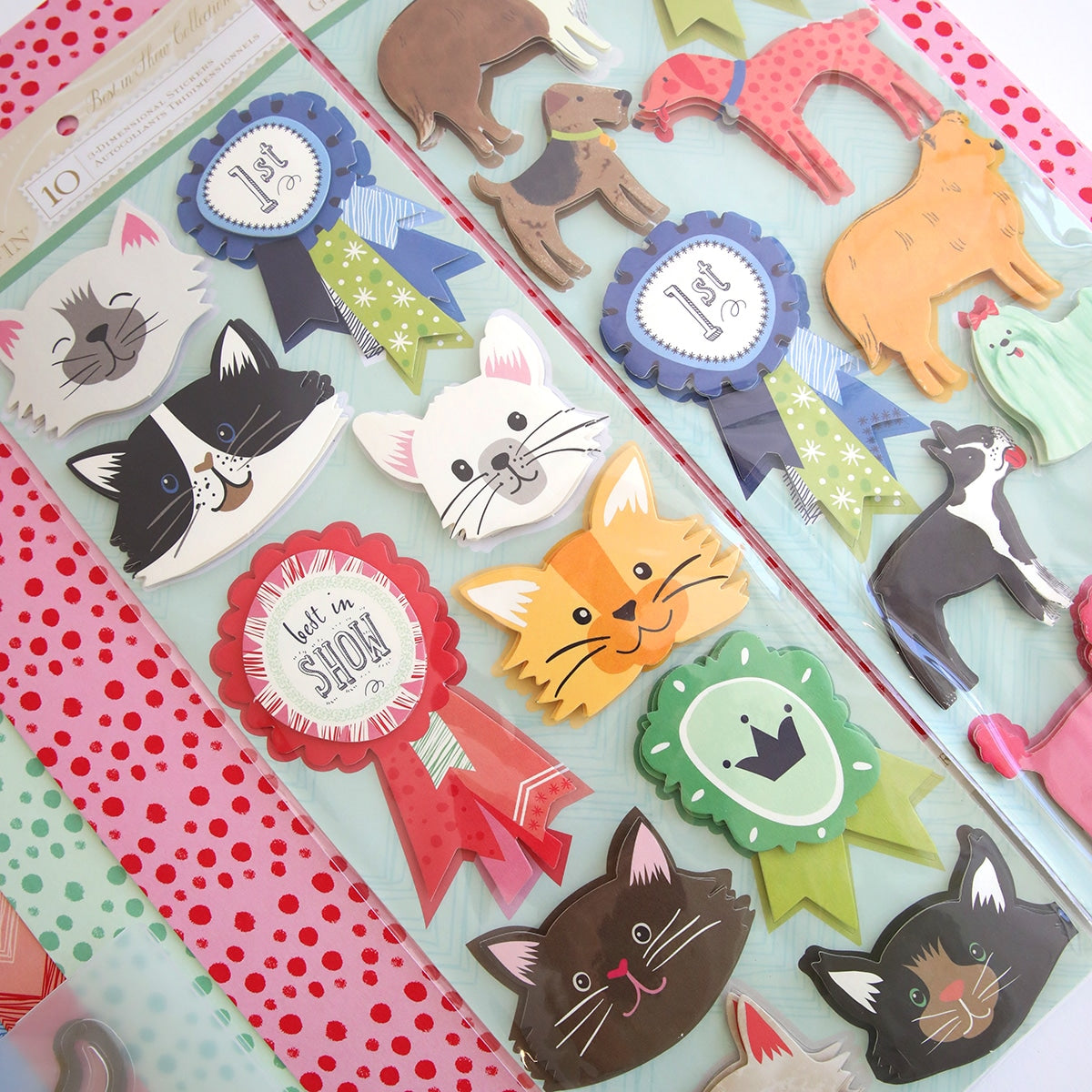 A collection of Best in Show Cardstock, Embellishments and Embossing Folders in a box.