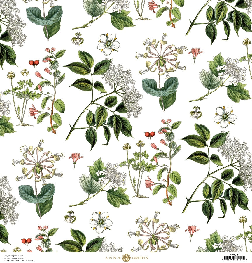 Anna Griffin - 12 x 12 Cardstock Kit - Botanical