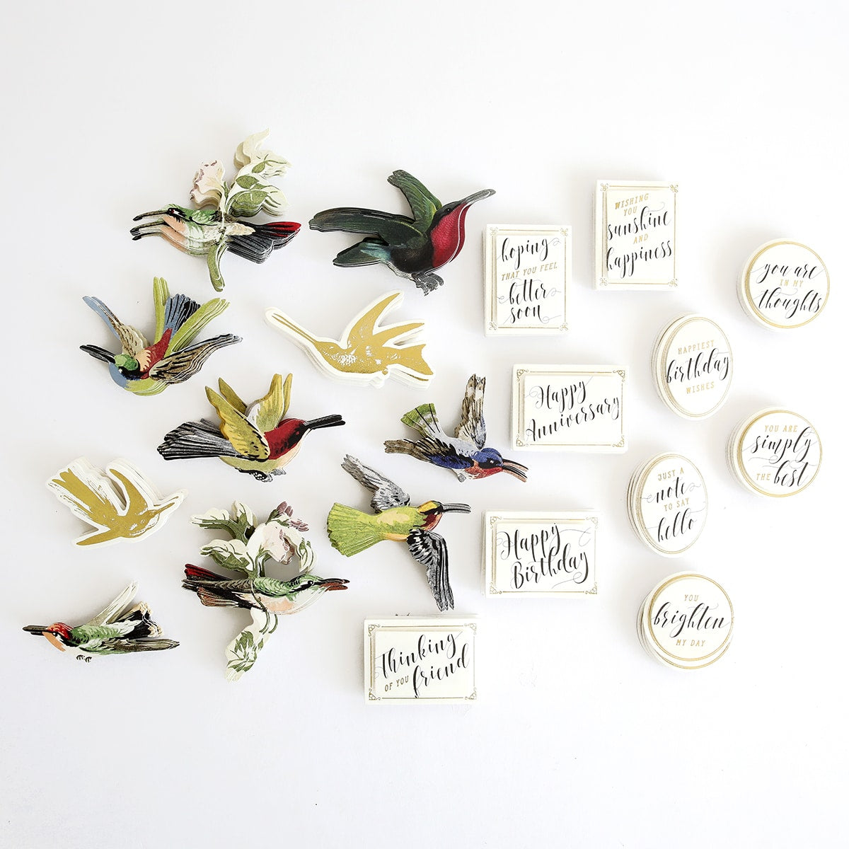 a bunch of birds that are sitting on a table.