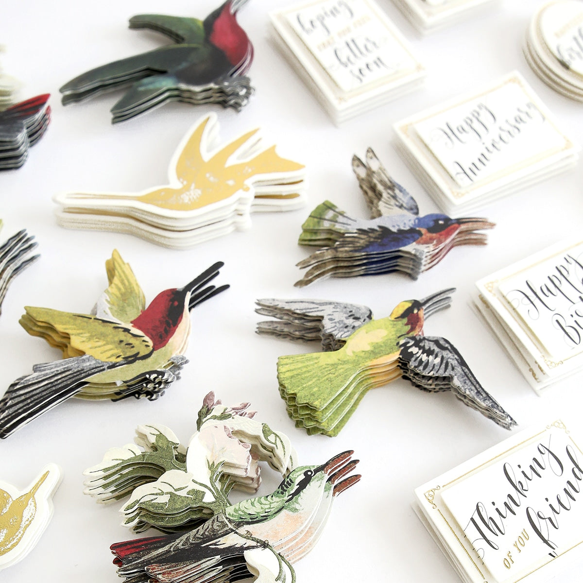 a table topped with lots of different types of birds.