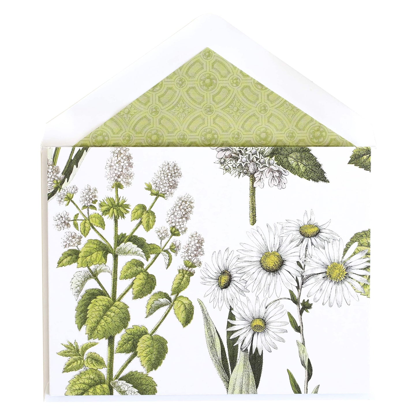 a card with a green and white floral design.