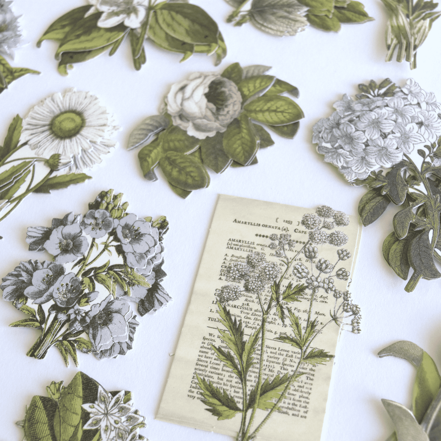 a white table topped with lots of flowers and leaves.