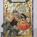 A card with an owl and pumpkins on it.