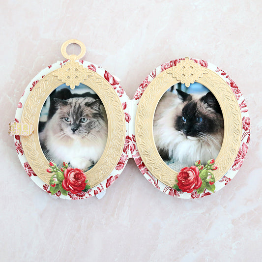 Fan Mail Friday- February 13th, 2026