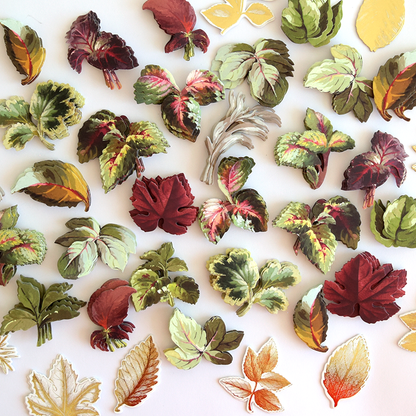 Foliage Stickers featuring assorted paper cutouts of leaves in various shapes and autumn colors, arranged on a white background.