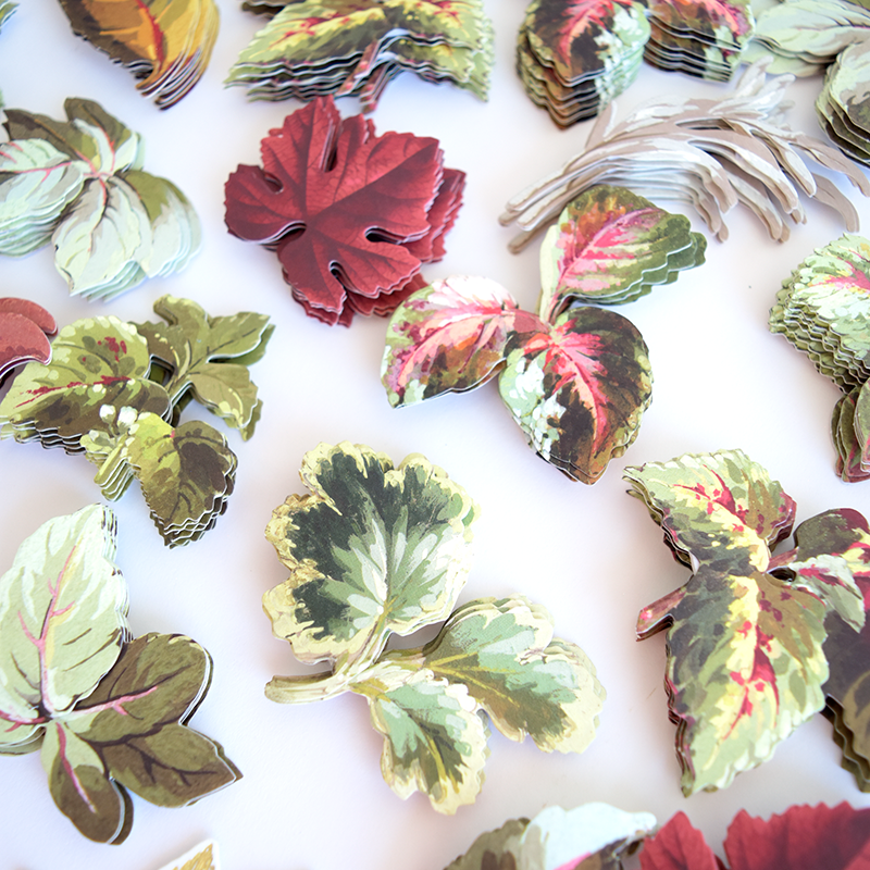 Assorted stacks of Foliage Stickers, shaped and printed like various colorful leaves, are arranged on a white surface, creating the perfect autumn-inspired 3D embellishments for crafts or sticker collections.