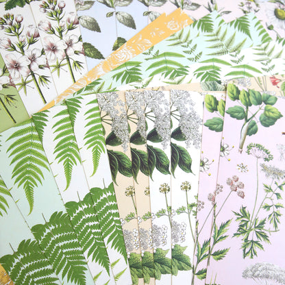 The Botanical 12x12 Cardstock set features an array of vintage-style botanical illustrations of ferns, flowers, and plants, elegantly showcased in a fan-like arrangement on premium-quality cardstock.