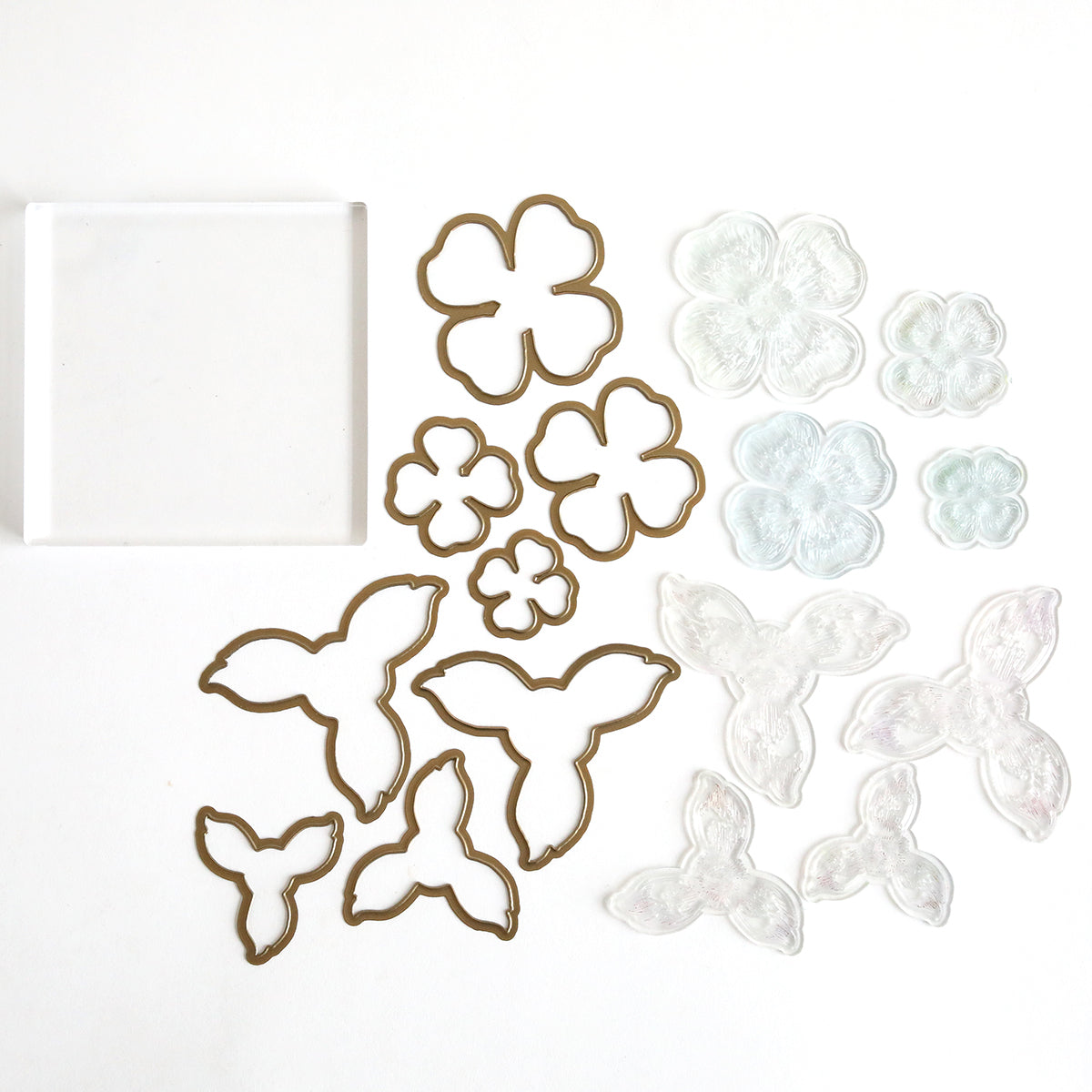 Discover our Blossoms Mold, Stamps and Dies collection featuring floral metal and plastic templates on a white background. Elevate your paper flowers with intricate flower and petal shapes, clear stamps, an acrylic block, or enhance them using the flower shaping mold for extra dimension.