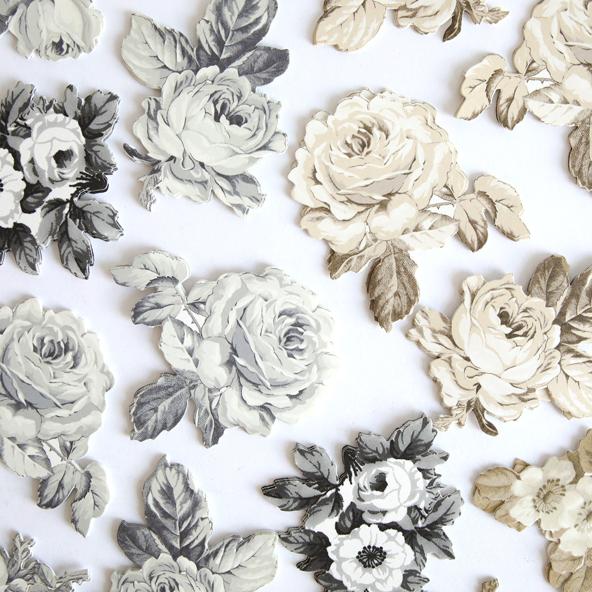 Faded Rose Die Cut Embellishments feature vintage-style cutout illustrations of roses in black, white, and sepia on a plain white background—perfect as craft embellishments or vintage floral die cut stickers.