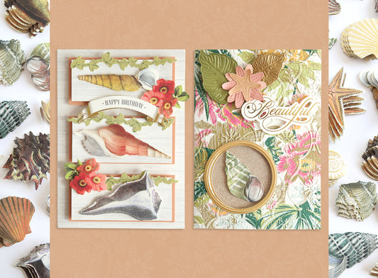 Two ocean-themed greeting cards featuring seashells, leaves, and flowers. One card reads "Happy Birthday" and the other says "Beautiful." Background has scattered seashell and starfish cutouts.