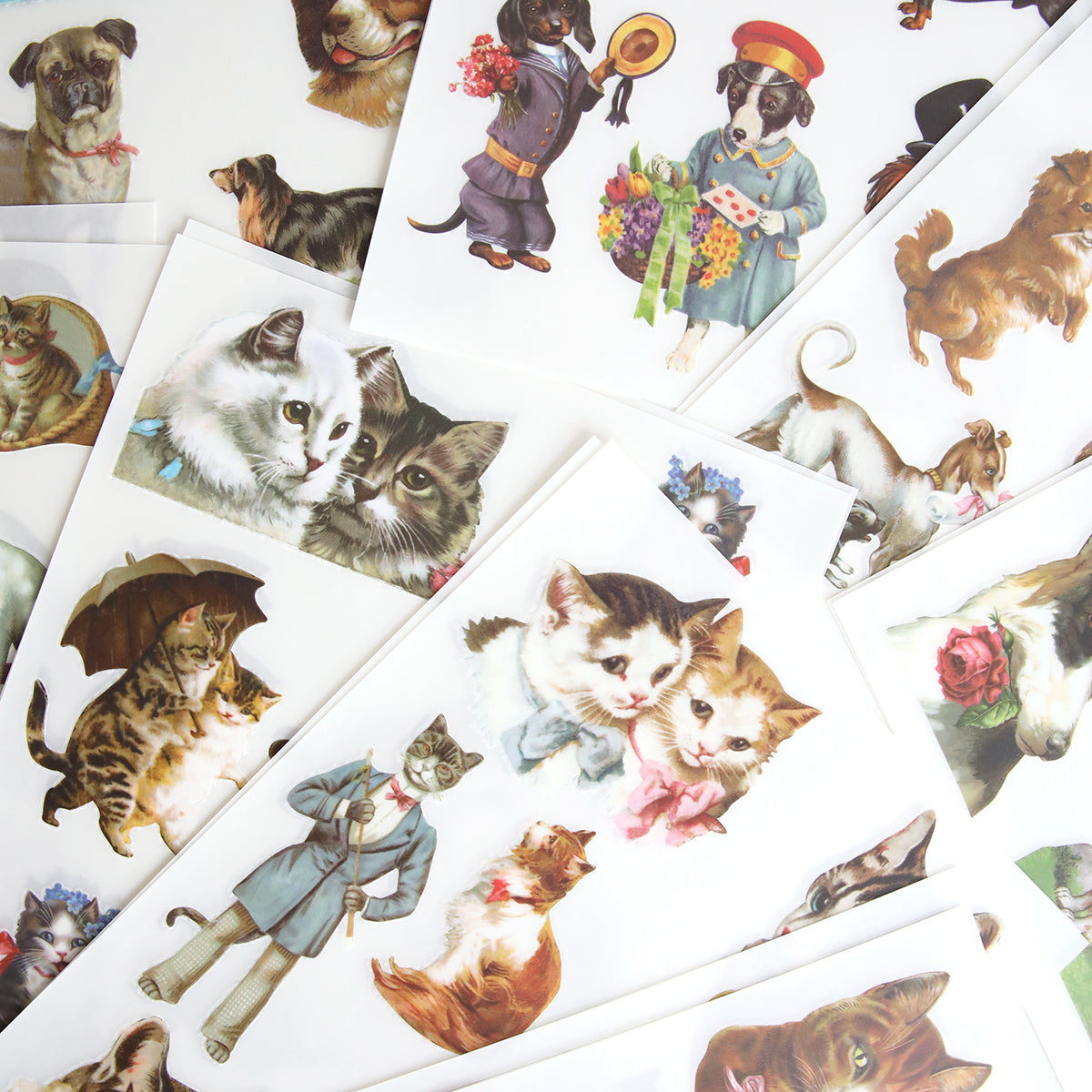Discover 'Cute Pet Rub On Transfers' – a collection of antique-inspired, vintage-style illustrations of cats and dogs in diverse outfits, perfect for pet lovers.