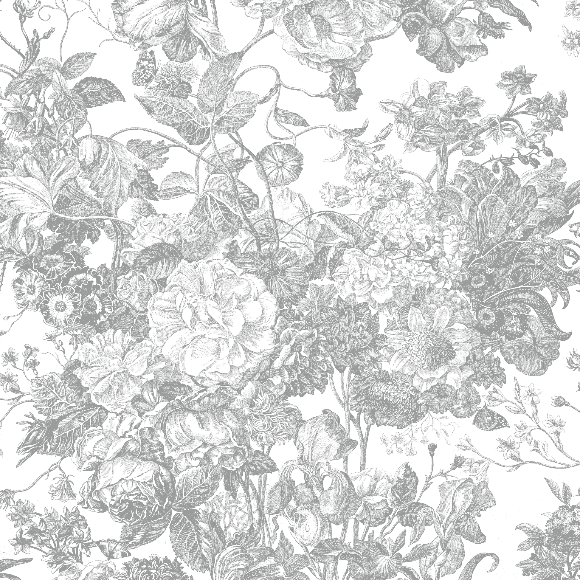 Black and white illustration of detailed flowers and leaves, vintage botanical style, featured on 12x12 Faded Rose Floral Gray Cardstock (5 sheets), ideal for archival projects or as part of the Faded Rose collection.