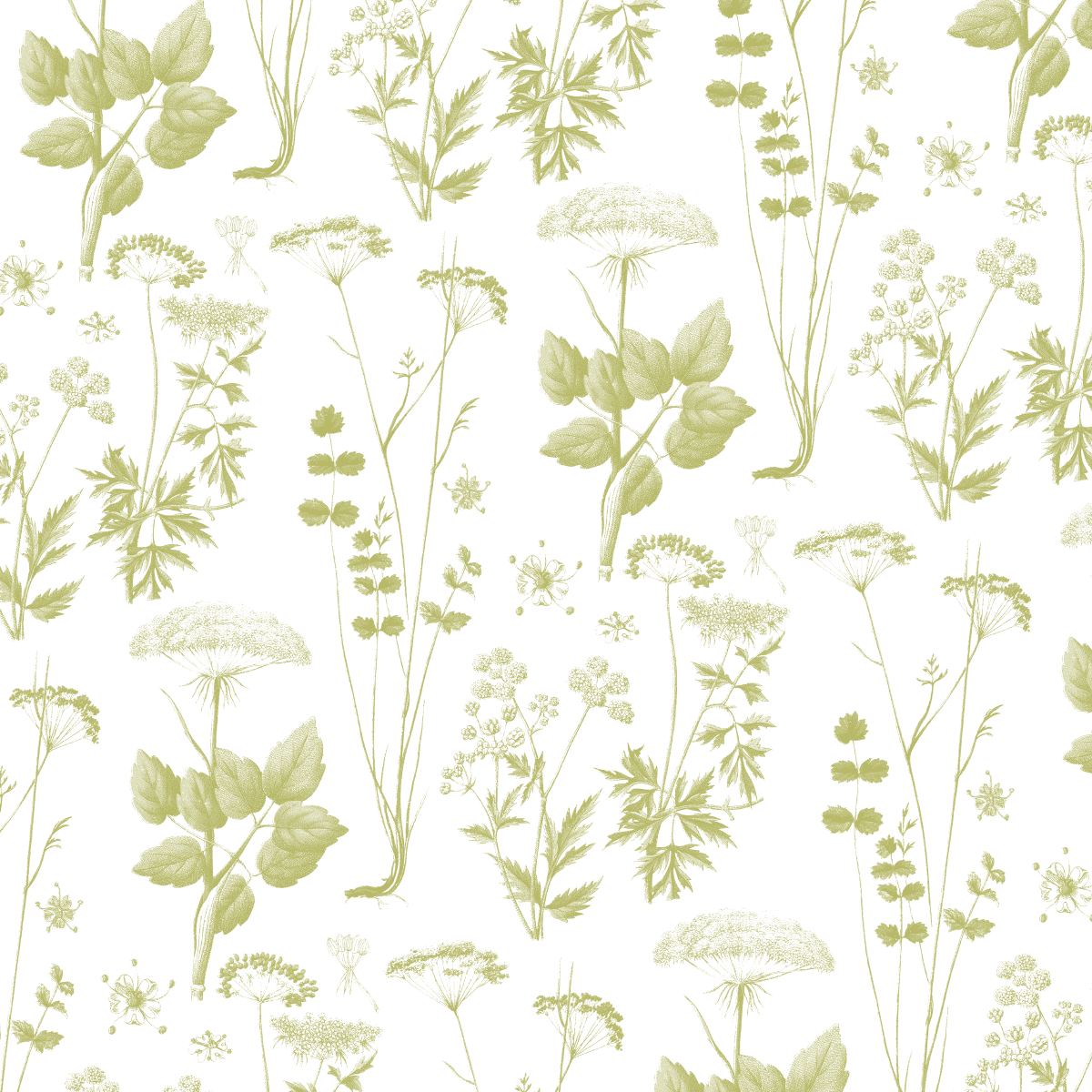 The 12x12 Antique Botanical Branches Pink Text Paper features a seamless pattern of delicate green wildflowers and leaves on white, inspired by the Antique Botanical collection. Includes 5 sheets.