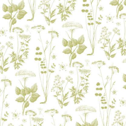 The 12x12 Antique Botanical Branches Pink Text Paper features a seamless pattern of delicate green wildflowers and leaves on white, inspired by the Antique Botanical collection. Includes 5 sheets.