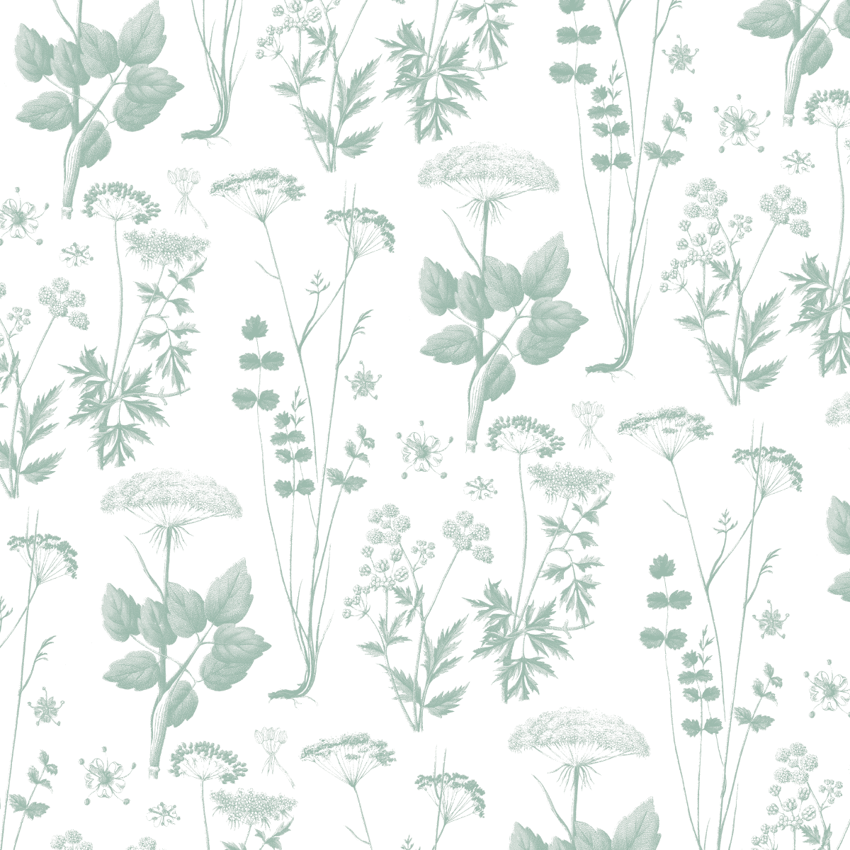 12x12 Antique Botanical Branches Green Text Paper features muted green botanical illustrations of wildflowers, leaves, and insects on white. Pack of 5 sheets, ideal for double-sided text or archival use.