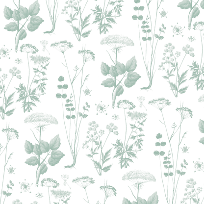 12x12 Antique Botanical Branches Green Text Paper features muted green botanical illustrations of wildflowers, leaves, and insects on white. Pack of 5 sheets, ideal for double-sided text or archival use.