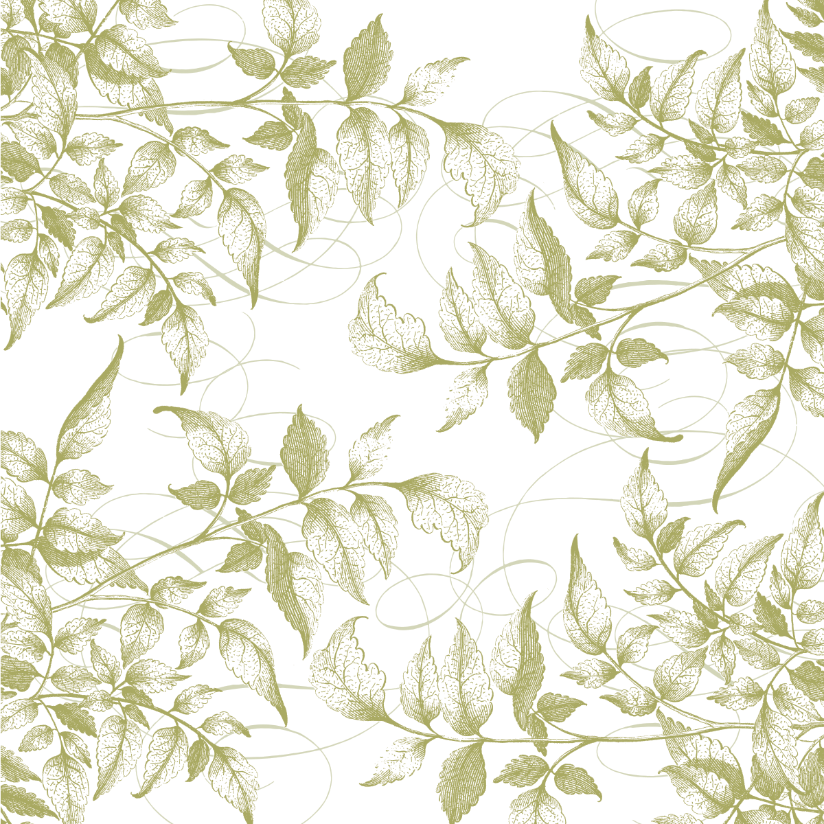 12x12 Antique Botanical Leaves Green Text Paper (5 sheets) features a seamless green leafy vine pattern with fine lines on white—perfect for archival projects or double-sided printing.