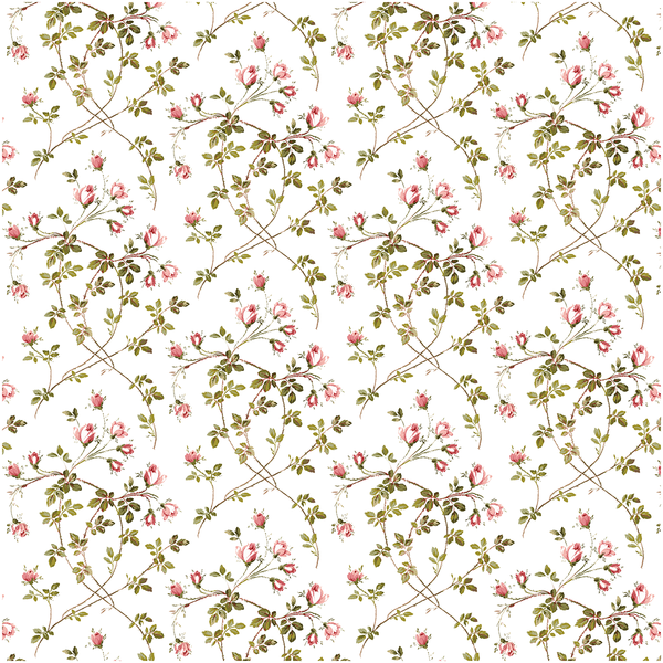 12x12 Francesca Floral Vine White Text Paper 5 sheets – Anna