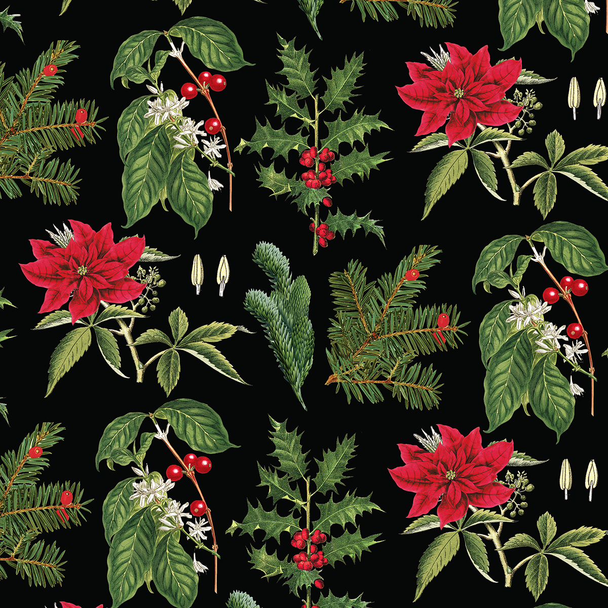 12X12 Christmas Botanical Cardstock 5 sheets features a seamless pattern of poinsettia flowers, holly leaves with berries, and pine branches on a black background—ideal for festive double-sided holiday projects.