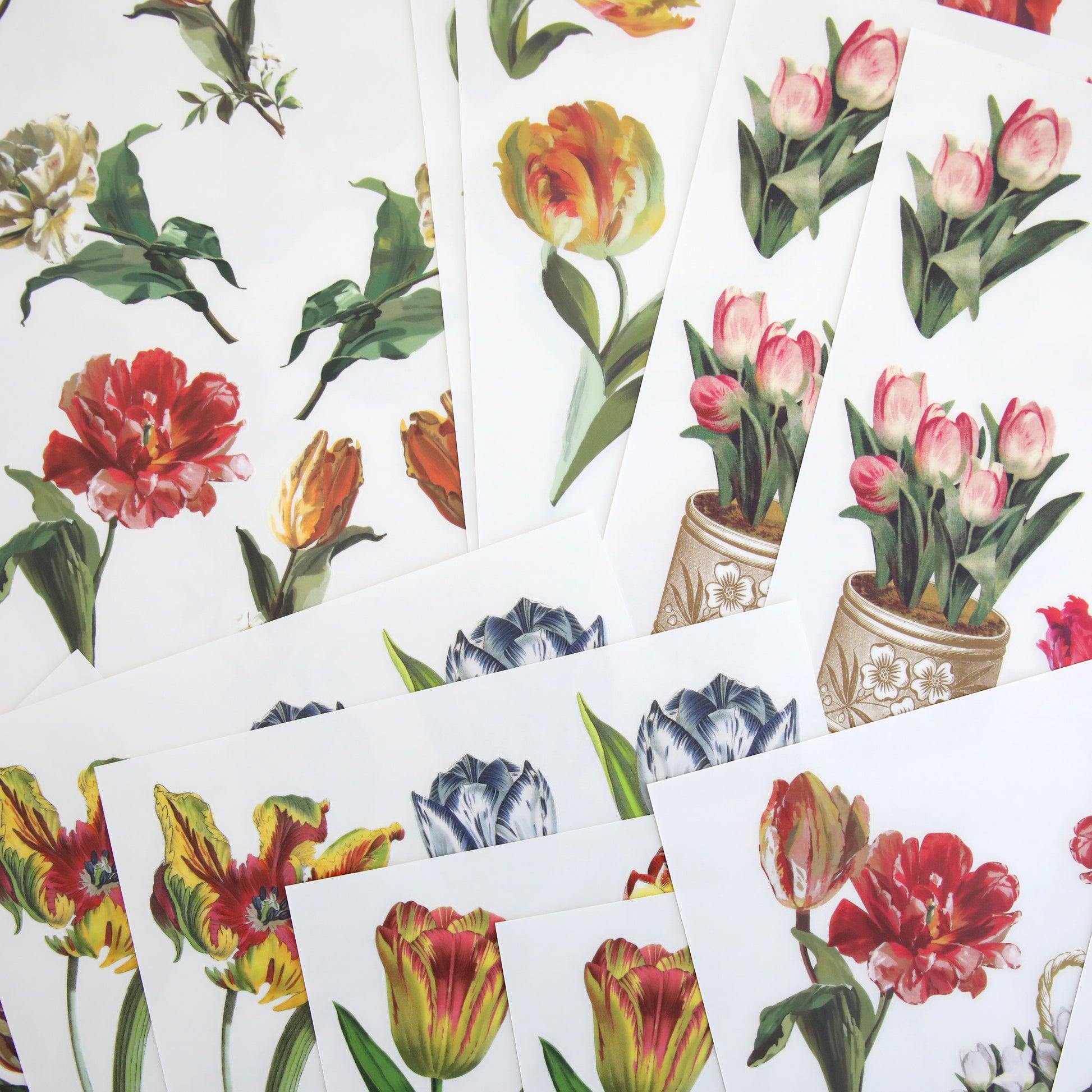 A bunch of Tulip Rub On Transfers and flowers in a vase, perfect for crafting projects.