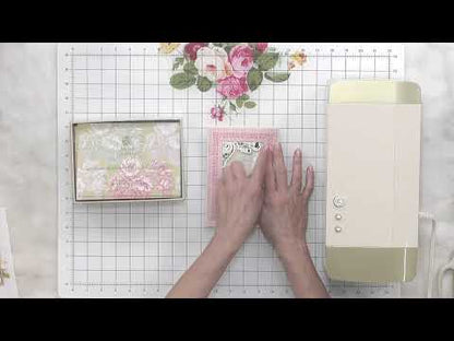 Antique Botanical Cards and Envelopes
