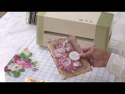 Birthday Present Scroll 3D Concentric Frame Dies