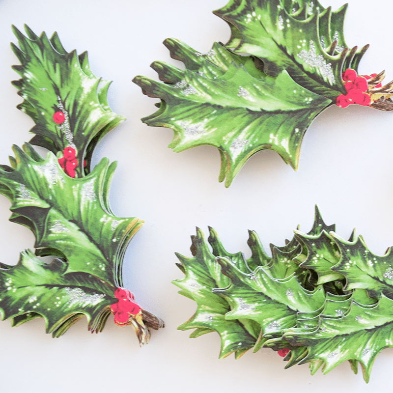 a group of holly leaves with red berries on them.