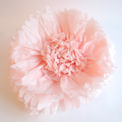 a close up of a pink flower on a white background.