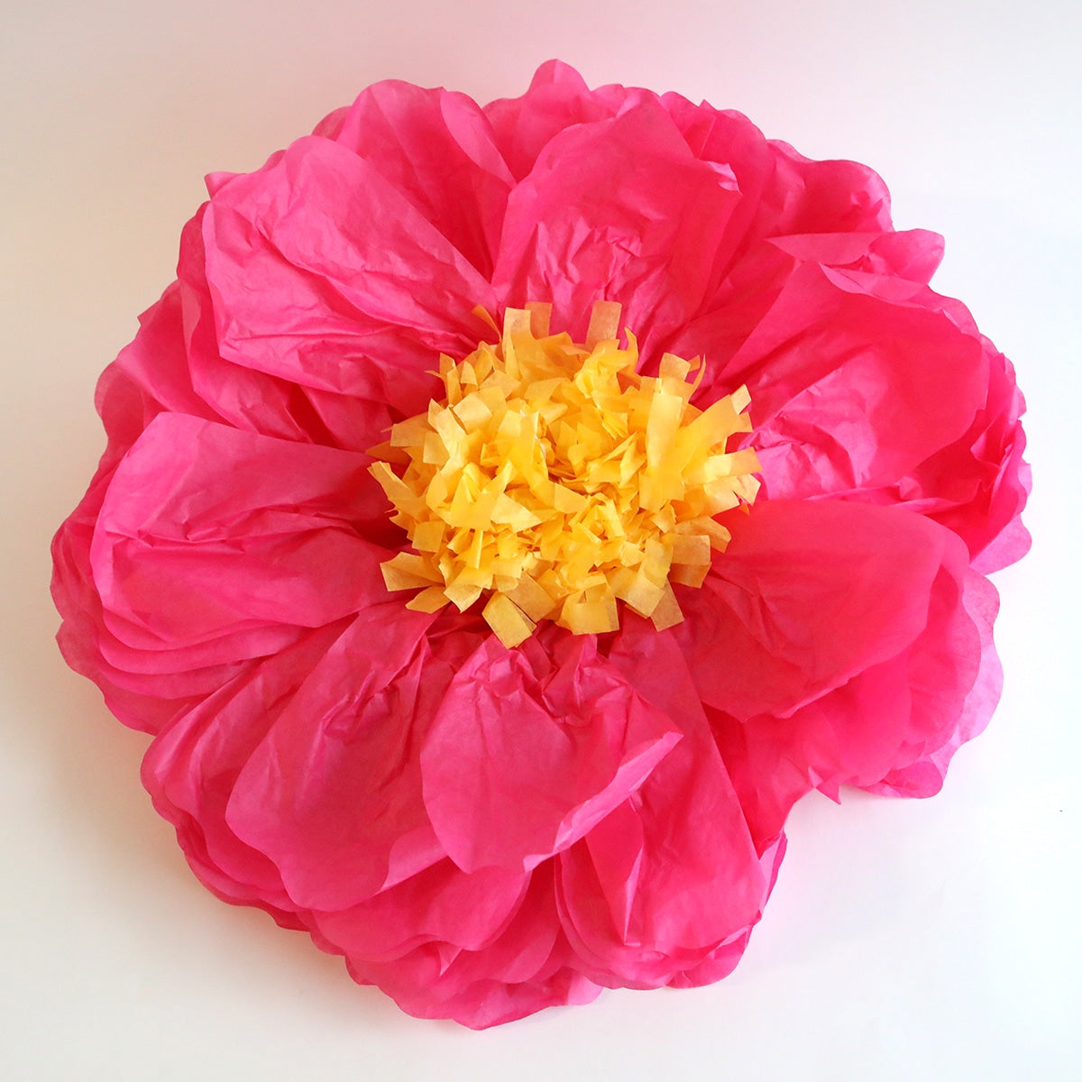 a large pink flower with yellow center on a white background.
