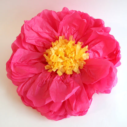 a large pink flower with yellow center on a white background.