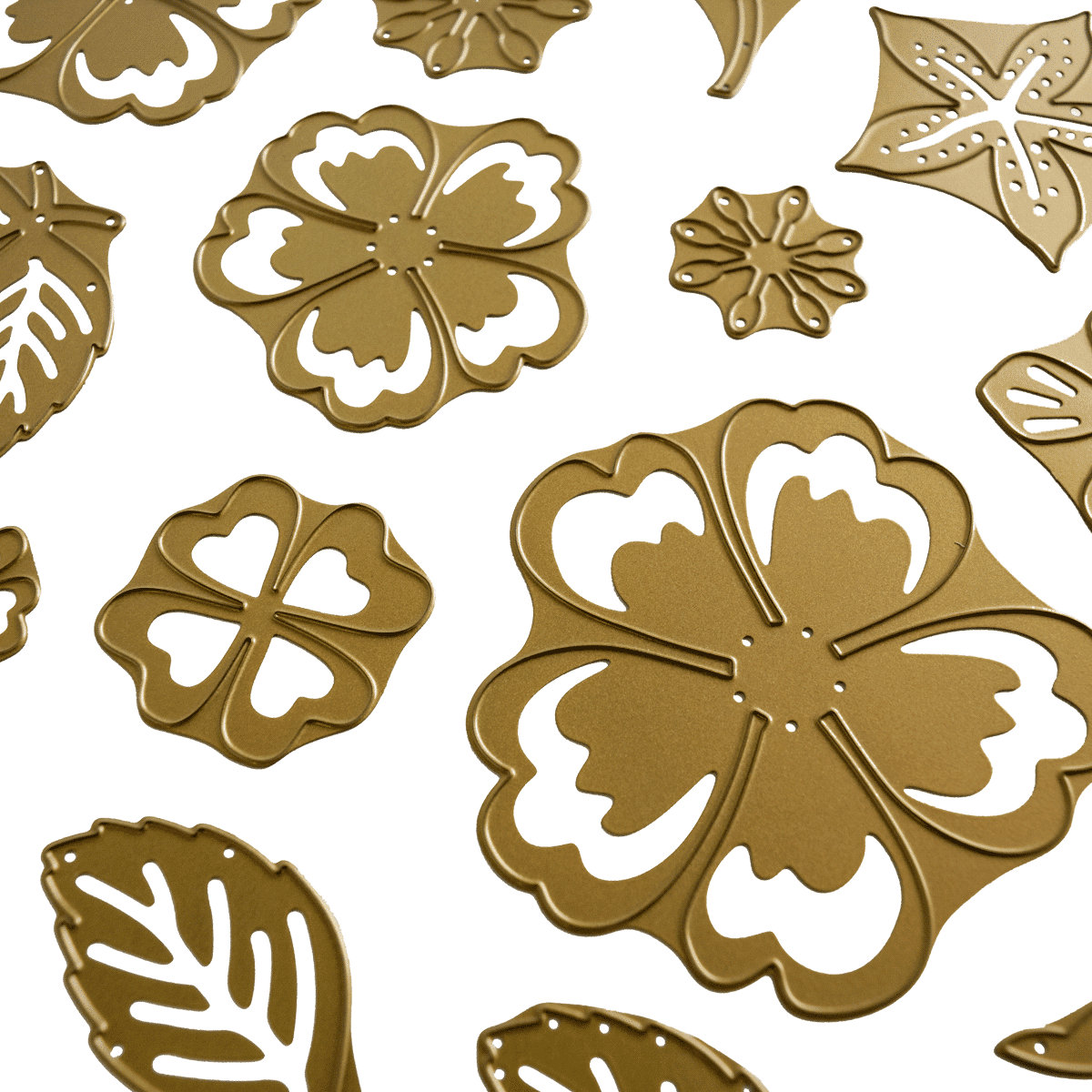 a bunch of different types of leaves on a white background.