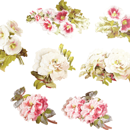 a bunch of flowers that are on a white background.