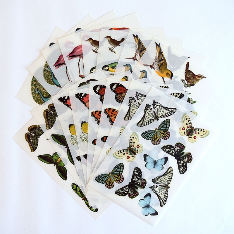 a bunch of butterflies on a white background.