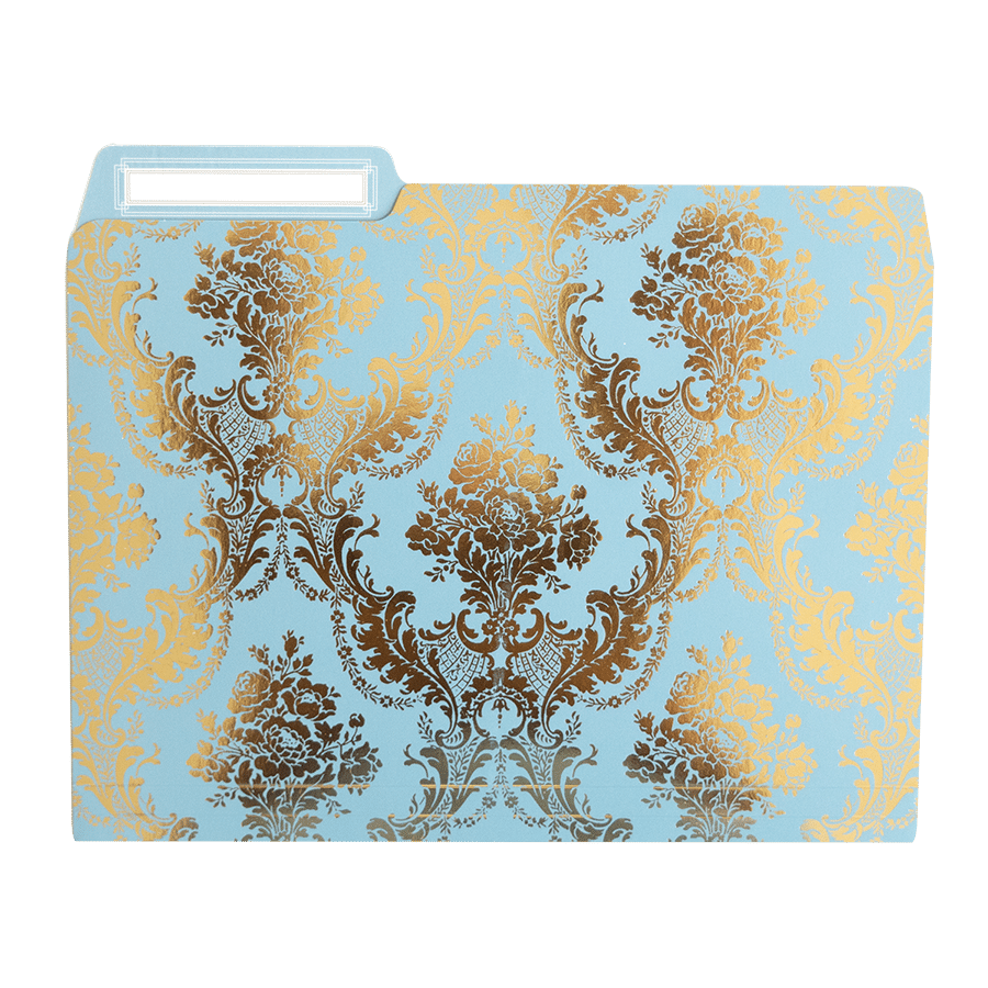 a file folder with a gold and blue pattern.