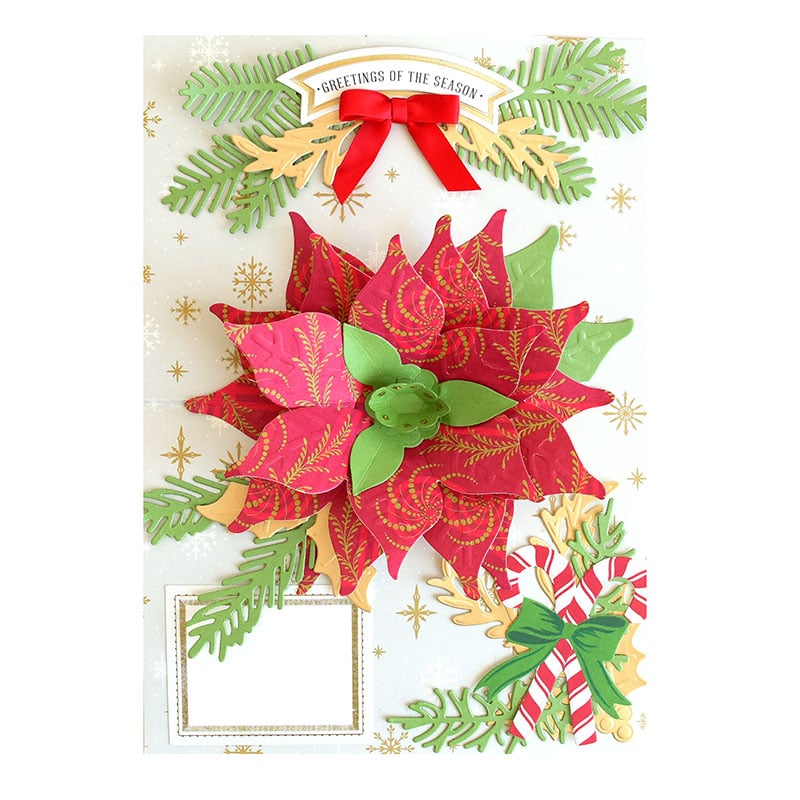 a christmas card with a poinsettia on it.