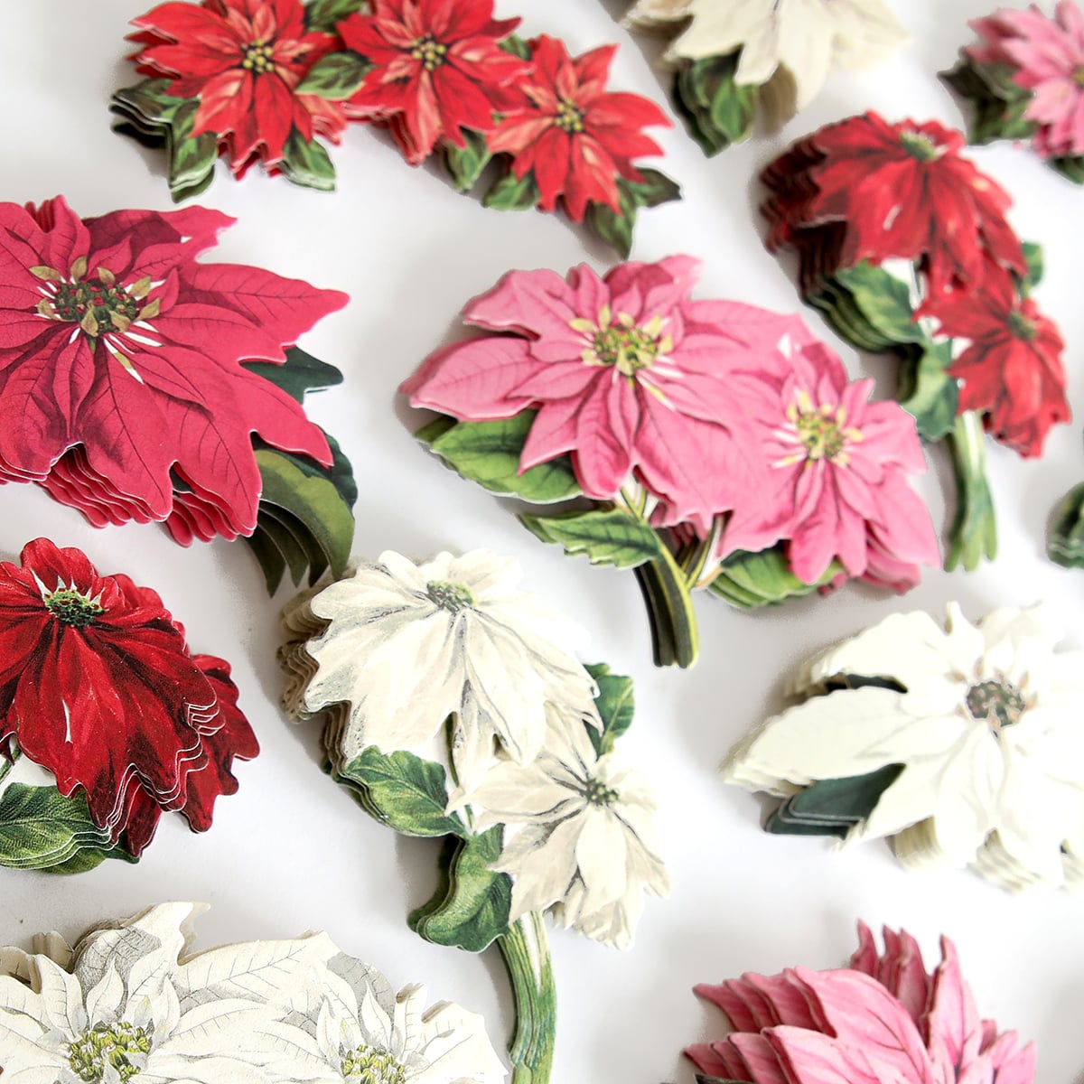 a bunch of poinsettia flowers on a white surface.